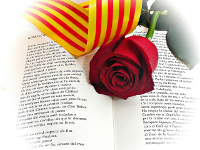 Libro, rosa y bandera catalana.