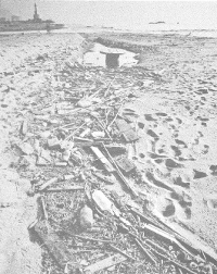 Playa sucia. Foto proveniente del libro «Constitución, paquete de enmiendas».